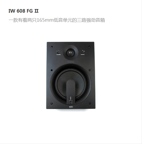 IW&nbsp;608&nbsp;FG&nbsp;Ⅱ